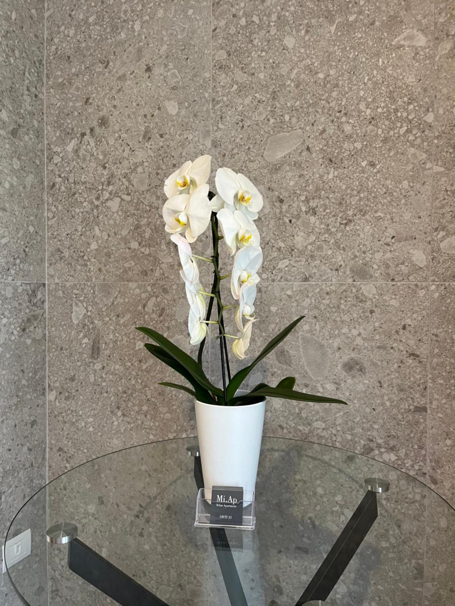 Miap Orti 31 Appartement Milaan Buitenkant foto